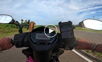 The best shots taken with a GoPro in 2025