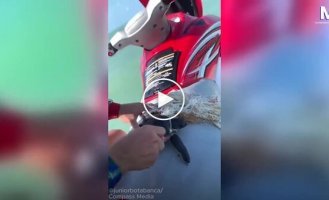 Мужчина спас черепаху, запутавшуюся в пластике