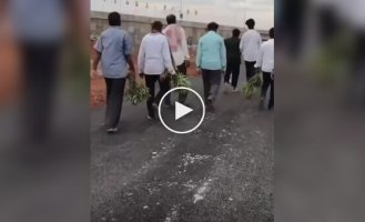They stole everything that was growing: the opening of an elite Indian airport ended in mayhem