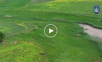 Drone operators dropped two hundred in the field of two occupiers
