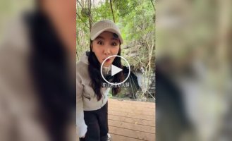 Ресторан для экстремалов в Китае