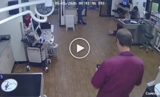Пес случайно «прокатил» медсестру прямо в клинике