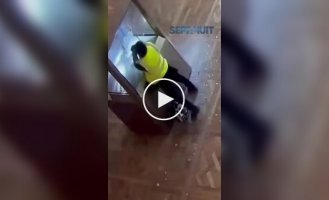 New footage of the Louvre robbery