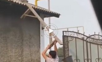 Rescuing a kitten from a roof