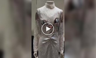 Бренд Valentino представил уникальное платье с котом