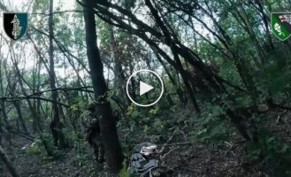 Воины ССО совершили налет на врага на Северо-Слобожанском направлении