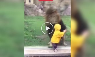 Zoo animals "attack" visitors through glass