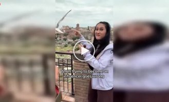 Девушка попыталась взять интервью у чайки