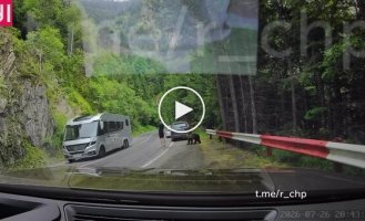 Медведь подкрался незаметно
