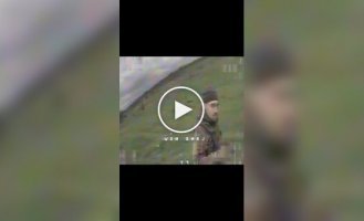 Two occupiers quickly fled, but did not escape drones in the Zaporizhia direction