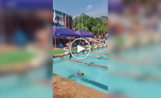 A dog participated in a swimming competition