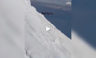 На Аляске пилот вертолета заметил на вершине горы медведя, который устроил себе отдых