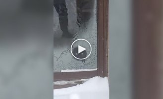 Кіт лиже замерзле скло