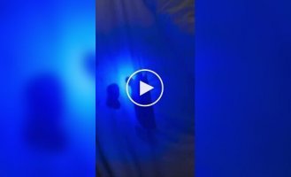 Why you should always check your hotel bed with an ultraviolet flashlight