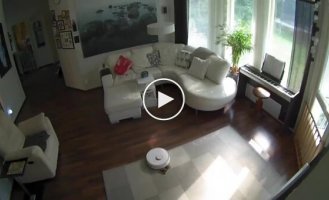 Собачий сюрприз: робот-пилосос та прибирання за розкладом