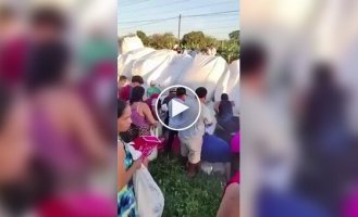 Сладкая авария: люди опустошили грузовик с сахаром