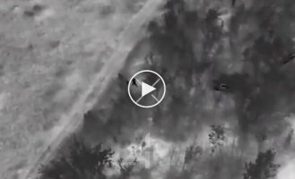 A kamikaze drone operator eliminated two occupiers with one blow, who crawled out of the copse