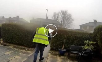 A courier stole a client's cat and was caught on video