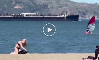 Виндсерфер врезался в кита в США