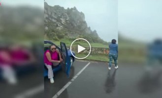 Обезьяны в ЮАР захватили чужую машину — туристам оставалось только наблюдать