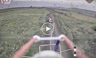 Soldiers of the 5th Separate Assault Brigade attacked a ground drone, a shelter with infantry and a motorcyclist in the Kramatorsk direction