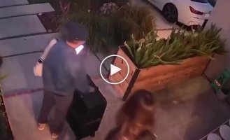 Кошка помахала хозяйке, уезжавшей в отпуск