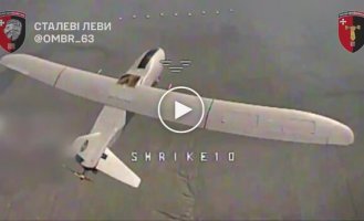 Силы обороны сбили вражеские БпЛА-разведчики Мерлин-ВР и Supercam в небе на Лиманском направлении
