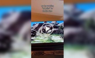 Real emotions: a dog completely immersed itself in the film's plot