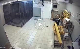 Вход для вора, выход с полицией