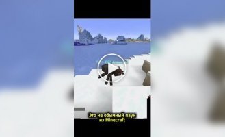 A man transferred the consciousness of a fly into a spider from the game Minecraft
