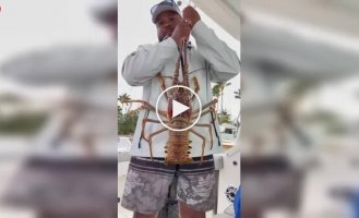 Похвастался уловом — получил удар: гигантский лобстер «отомстил» рыбаку