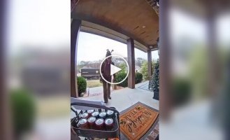 Напитки для курьера и ее реакция