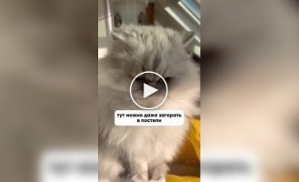 Современная квартира парижанина