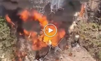 On the Kinburn Spit, special operations forces attacked enemy transport: a detonation occurred Source