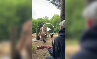 Музыка, которая объединяет людей и животных