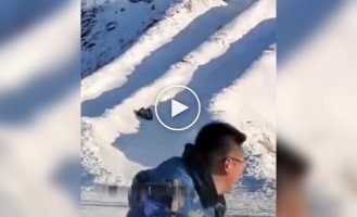 Странные видео (короткие видео). Выпуск 37