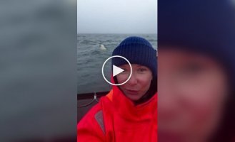 A woman captured a polar bear near her boat