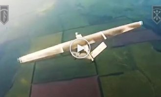 Soldiers of the 3rd Separate Assault Brigade set a record and shot down 268 enemy drones in the sky in just one month