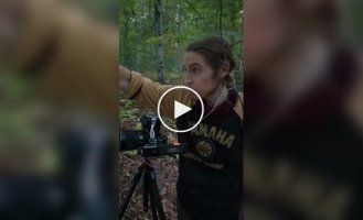 Исследователи нашли насекомых, которые устраивают танцы при виде людей