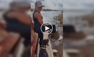 Девушка носит на ноге питона как браслет