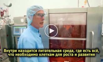 У Нідерландах відкрилася перша ферма без тварин