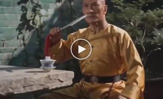 Старые китайские фильмы про кунг-фу, но с котами