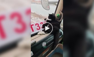 The most important passenger