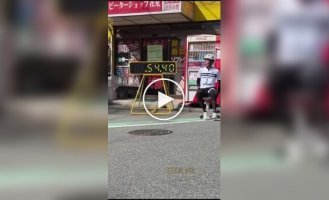 Гонки на офисных креслах