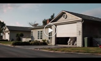 Funny commercial with kittens in a miniature city