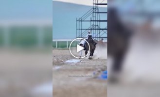 Raising a khadak On the run - a spectacular element of Mongolian trick riding