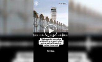 Пилоты самолета мяукали и гавкали во время полета
