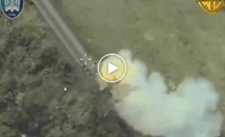 Madyar's birds tracked down and burned a Russian Strela-10 air defense system along with its crew