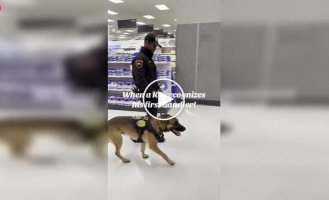 A service dog recognized its first owner and instantly melted away