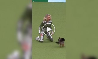Кто танцует круче